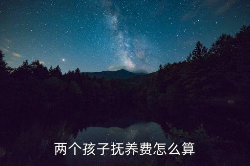 兩個孩子撫養(yǎng)費(fèi)怎么算