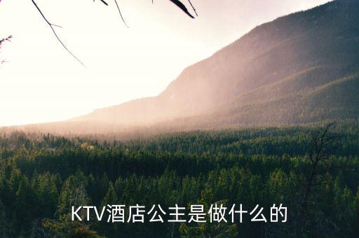 酒店出臺(tái)是干什么的，KTV酒店公主是做什么的