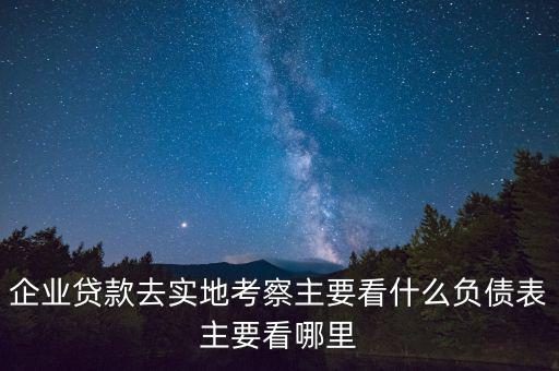 貸款實(shí)地考察做些什么，企業(yè)貸款去實(shí)地考察主要看什么負(fù)債表主要看哪里