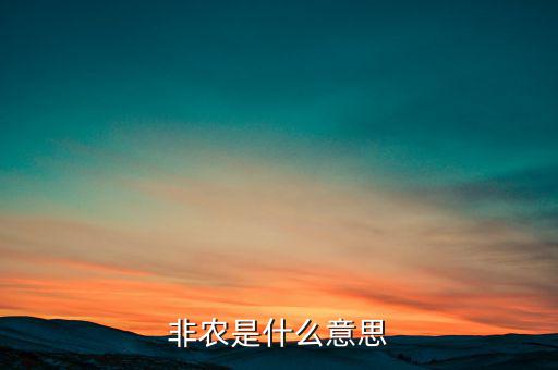 大非農是什么意思，非農是什么意思
