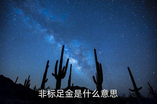 什么是金融非標(biāo)產(chǎn)品，什么叫非標(biāo)融資