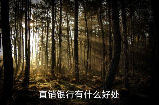 浦發(fā)直銷(xiāo)銀行能干什么，銀行直銷(xiāo)部是做什么的