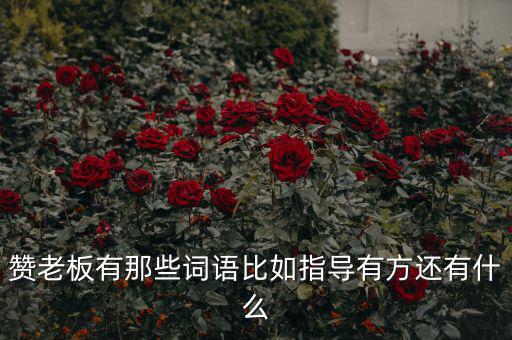 什么成語能夠形容房地產(chǎn)老板，贊老板有那些詞語比如指導有方還有什么