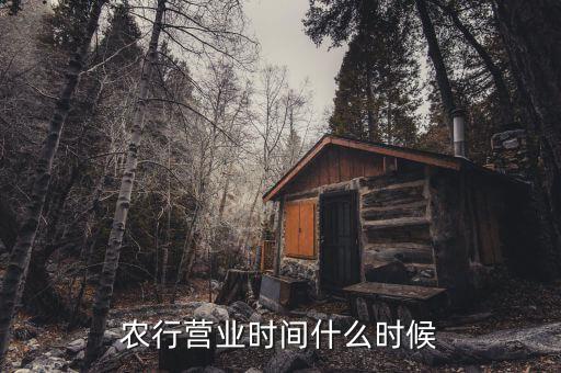農(nóng)行什么時(shí)候上班，農(nóng)行上班時(shí)間