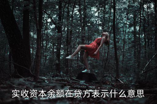 什么是資本余額，什么是資本性資金誰知道請告訴我謝謝