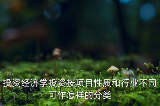 什么是公共消費(fèi)性投資，如何理解消費(fèi)投資