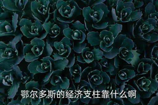 為什么鄂爾多斯經(jīng)濟(jì)發(fā)展，鄂爾多斯市是什么原因讓其發(fā)展如此迅猛