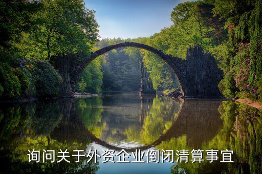 沈陽(yáng)投資公司跑路市政府什么解決，詢問(wèn)關(guān)于外資企業(yè)倒閉清算事宜