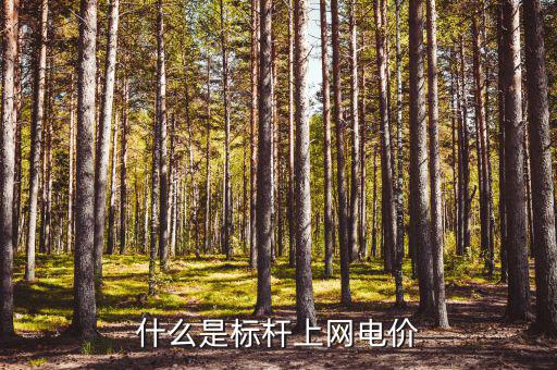 什么是標(biāo)桿電價(jià)，什么是標(biāo)桿上網(wǎng)電價(jià)