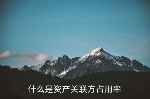 什么是資產關聯(lián)方占用率