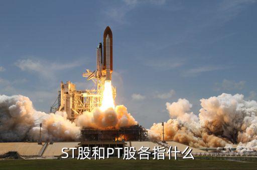 什么叫pt股，股票中PT股代表什么意思