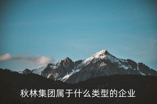 秋林集團是什么板塊，秋林集團屬于什么類型的企業(yè)