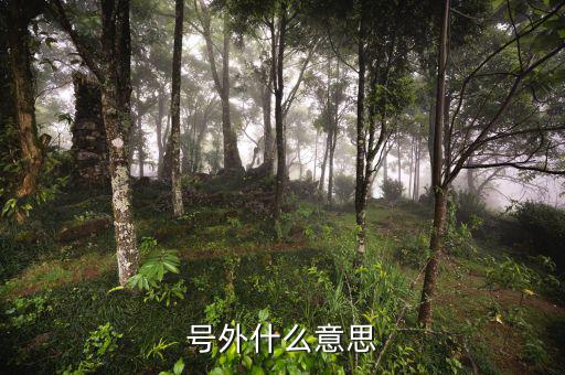 基金號外是什么意思，號外是什么意思
