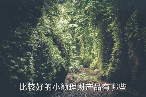 有什么小額理財產品，小額理財投資產品有哪些