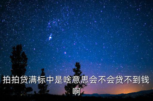 拍拍貨不滿標(biāo)什么意思，拍拍貸滿標(biāo)是什么意思