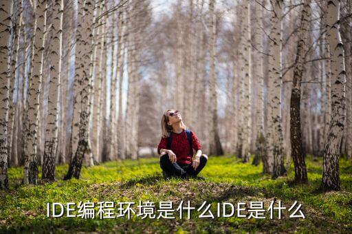 tltro是什么，虛擬內(nèi)存是什么玩意