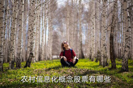 農(nóng)村富了什么股票，農(nóng)村信息化概念股票有哪些