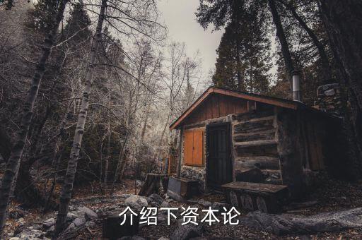資本論是什么發(fā)表的，資本論 是馬克思寫(xiě)的不