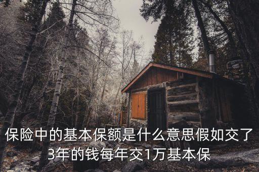 基本保額是什么意思，基本保險(xiǎn)金額是什么意思