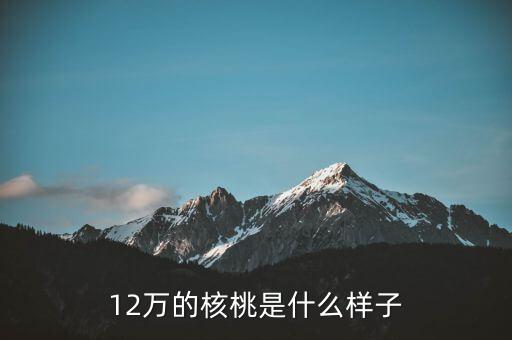 36萬核桃長什么樣，大家看這個(gè)核桃做的怎樣值多少