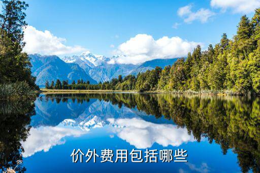 政府性基金是什么意思，何為政府性資金國有企業(yè)投資時其資本金部分算不算政府資金