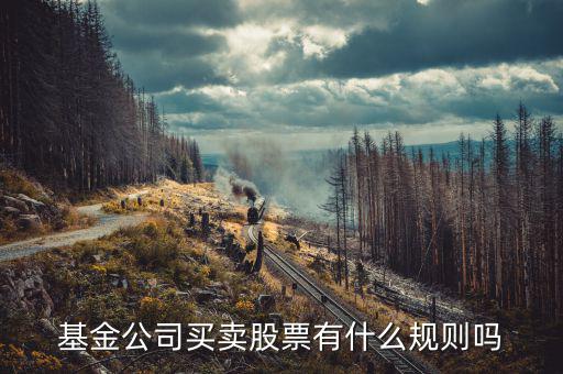 基金持有上市公司股票有什么限制嗎，基金公司買賣股票有什么規(guī)則嗎