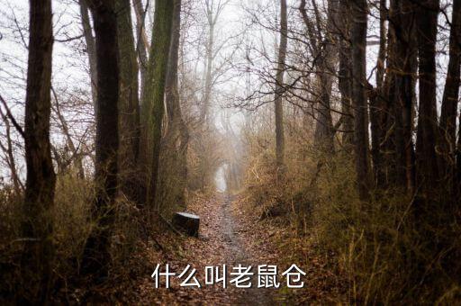 什么是老鼠倉(cāng)圖形，股票中什么是老鼠倉(cāng)呢簡(jiǎn)明即可