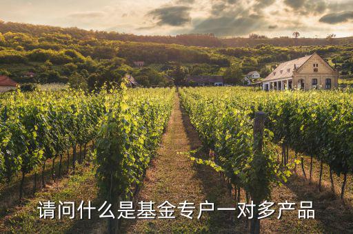一對多專戶是什么意思，請問什么是基金專戶一對多產(chǎn)品