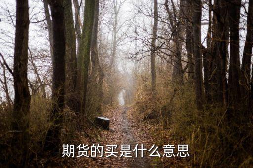 期貨的買(mǎi)是什么意思