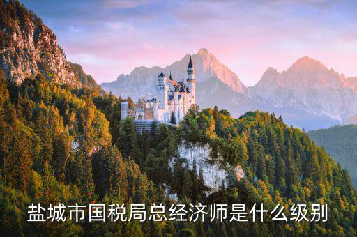 總經(jīng)濟(jì)師是什么級(jí)別，農(nóng)業(yè)部總經(jīng)濟(jì)師是什么級(jí)別