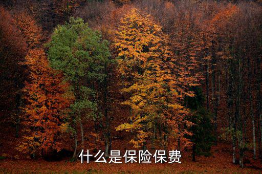 什么是保單保費，什么是保險保費