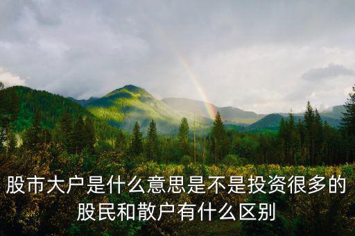 炒股大戶是什么意思，股票中的大戶是什么意思