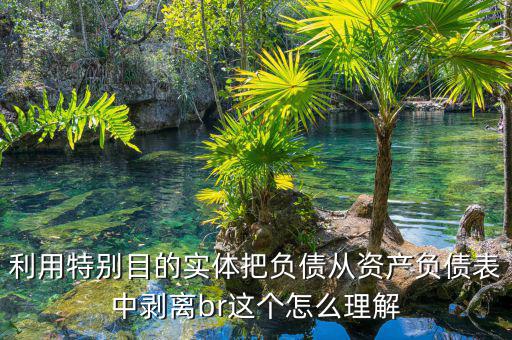 利用特別目的實(shí)體把負(fù)債從資產(chǎn)負(fù)債表中剝離br這個怎么理解