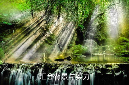 江蘇匯金控股什么背景，匯金公司是怎么回事