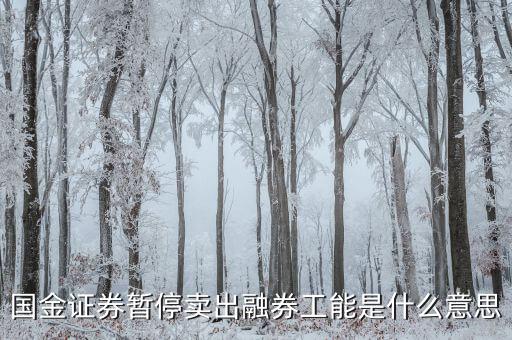 暫停融券是什么意思，國(guó)金證券暫停賣出融券工能是什么意思