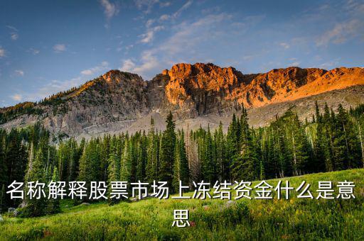 股票交易資金凍結(jié)什么意思，名稱解釋股票市場上凍結(jié)資金什么是意思