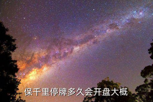 保千里什么時間上市，保千里什么時候復牌