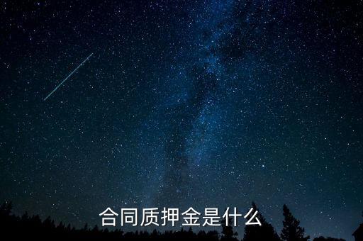 質押金是什么，期貨中的質押金是什么意思