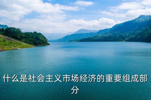 什么是社群經(jīng)濟(jì)，什么是社會(huì)主義市場(chǎng)經(jīng)濟(jì)