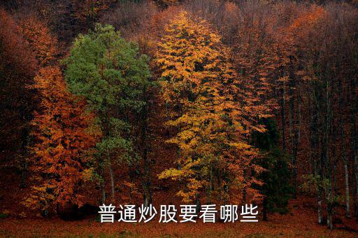 炒股每天都看什么，炒股究竟看什么怎么看