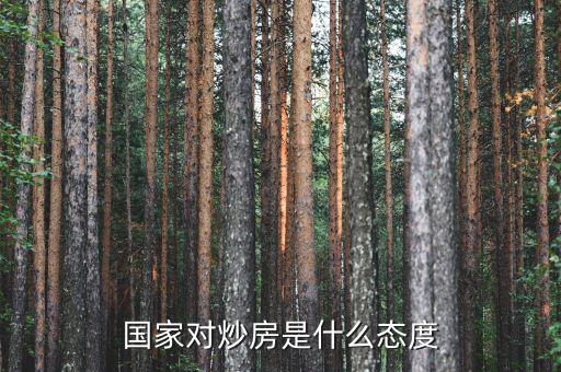 在中國為什么國家允許炒房，在中國為什么民眾熱衷炒房