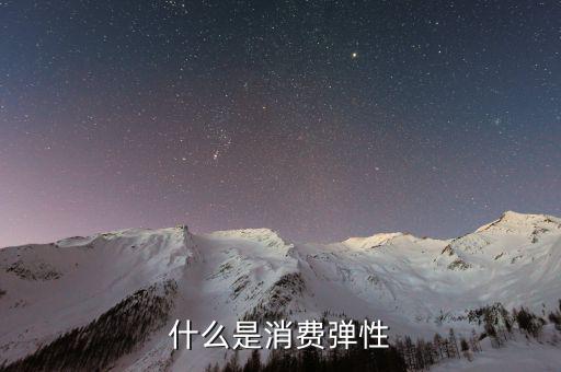 什么是消費彈性，什么是消費彈性