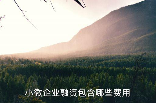 小微企業(yè)兩禁資金管理費(fèi)指什么，減半征收城鎮(zhèn)土地使用稅和房產(chǎn)稅的小微企業(yè)標(biāo)準(zhǔn)