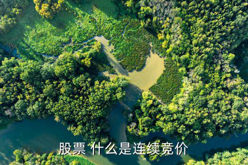 股票連續(xù)競(jìng)價(jià)是什么意思，股票 什么是連續(xù)競(jìng)價(jià)