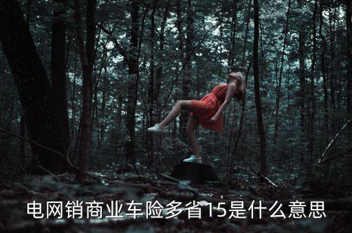 電網銷是什么意思，電網銷商業(yè)車險多省15是什么意思