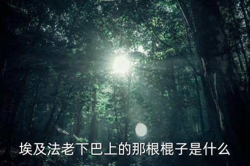 埃及法老的胡子叫什么，胡扶是埃及的第幾代法老