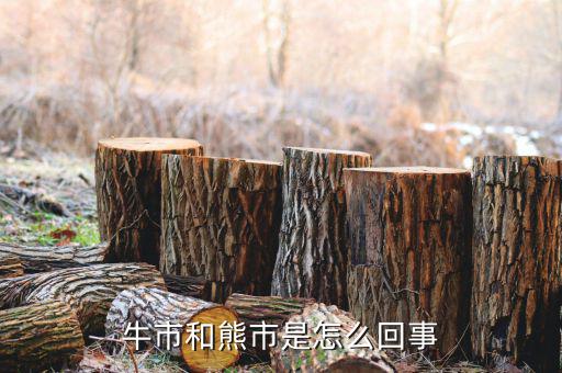 什么是熊市，人們?nèi)粘Ｕ務(wù)摴墒行星闀r(shí)常提及牛市熊市其中牛市指