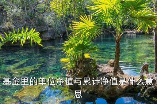 基金凈值和累計凈值是什么，基金里的單位凈值與累計凈值是什么意思