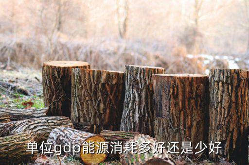 單位GDP越高說明什么，GDP代表著什么