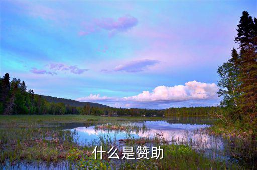 贊助核心是什么，什么是贊助